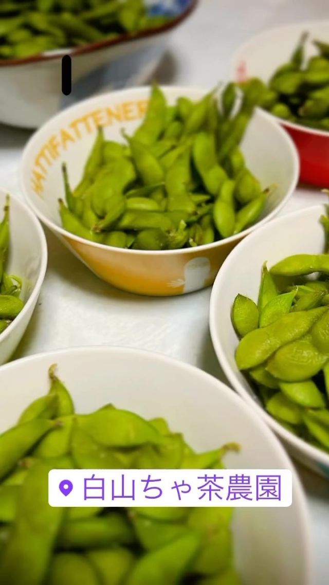 電子レンジ対応鮮度保持袋(すぐ食べレンジ) ３枚 | 白山ちゃ茶農園